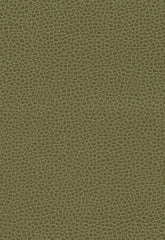 FSchumacher Fabric 363-4514 Promessa Moss