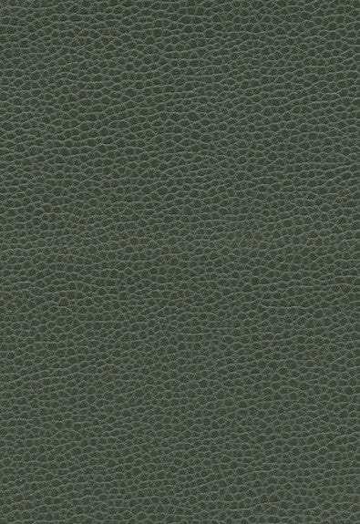 FSchumacher Fabric 363-4516 Promessa Hunter
