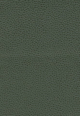FSchumacher Fabric 363-4516 Promessa Hunter