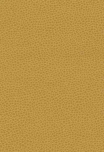 FSchumacher Fabric 363-5258 Promessa Sunshower