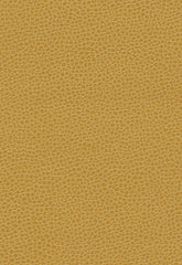 FSchumacher Fabric 363-5258 Promessa Sunshower