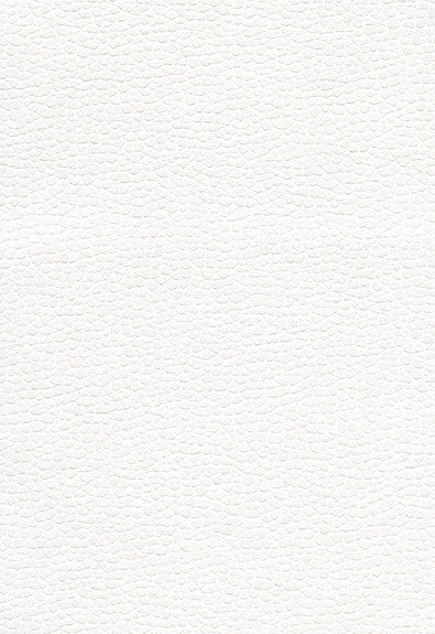 FSchumacher Fabric 363-5715 Promessa Snow