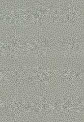 FSchumacher Fabric 363-5818 Promessa Ash