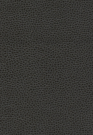 FSchumacher Fabric 363-5845 Promessa Ebony