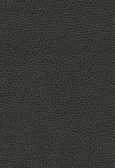 FSchumacher Fabric 363-5845 Promessa Ebony