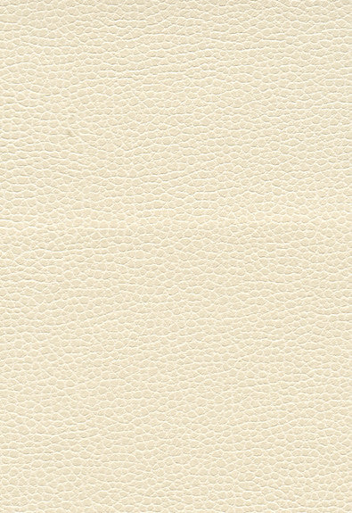 FSchumacher Fabric 363-5848 Promessa Pearl