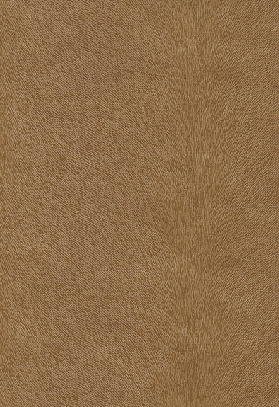 FSchumacher Fabric 370-3155 Pony Mustang