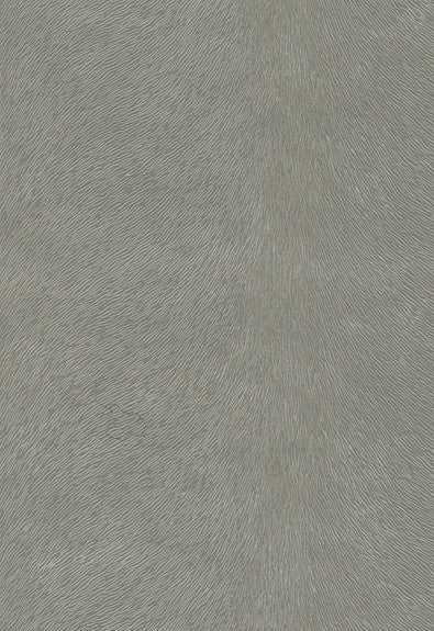 FSchumacher Fabric 370-5850 Pony Smoke