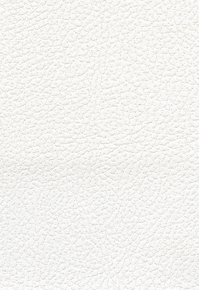 FSchumacher Fabric 393-5750 Brisa Soleil Polar
