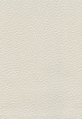 FSchumacher Fabric 393-5852 Brisa Soleil Jasper
