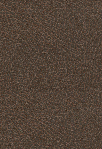 FSchumacher Fabric 396-3970 Brisa Soleil Distressed Chaps