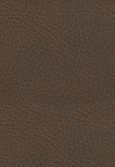 FSchumacher Fabric 396-3970 Brisa Soleil Distressed Chaps