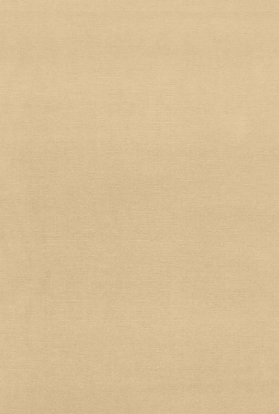 FSchumacher Fabric 42776 Gainsborough Velvet Eggshell