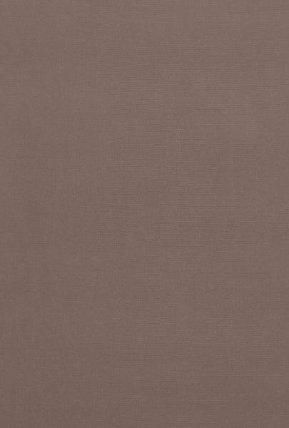FSchumacher Fabric 42817 Gainsborough Velvet Doeskin