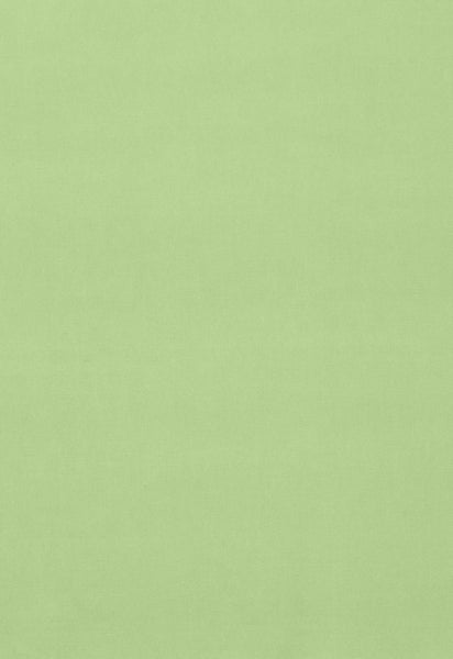 FSchumacher Fabric 42855 Gainsborough Velvet Mint