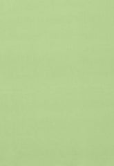 FSchumacher Fabric 42855 Gainsborough Velvet Mint