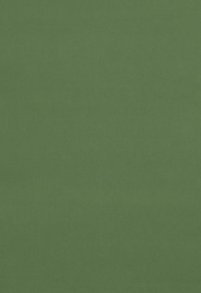 FSchumacher Fabric 42862 Gainsborough Velvet Reseda