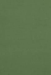 FSchumacher Fabric 42862 Gainsborough Velvet Reseda