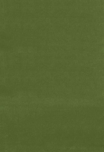 FSchumacher Fabric 42869 Gainsborough Velvet Fern