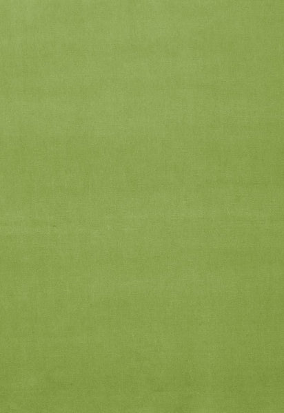 FSchumacher Fabric 42871 Gainsborough Velvet Apple