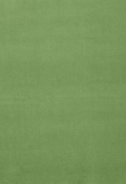 FSchumacher Fabric 42873 Gainsborough Velvet Willow