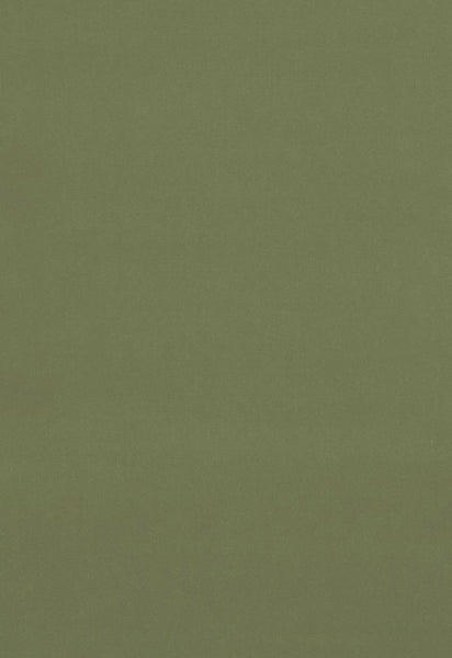 FSchumacher Fabric 42875 Gainsborough Velvet Celadon