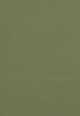 FSchumacher Fabric 42875 Gainsborough Velvet Celadon