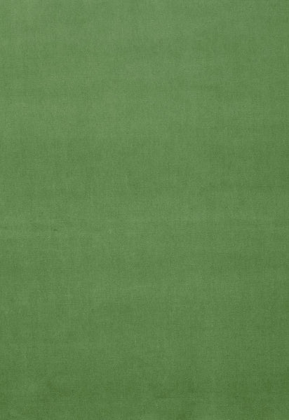 FSchumacher Fabric 42876 Gainsborough Velvet Parrot