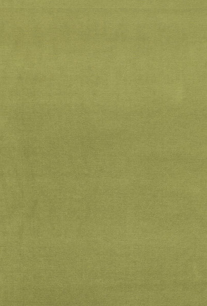 FSchumacher Fabric 43258 Gainsborough Velvet Palm