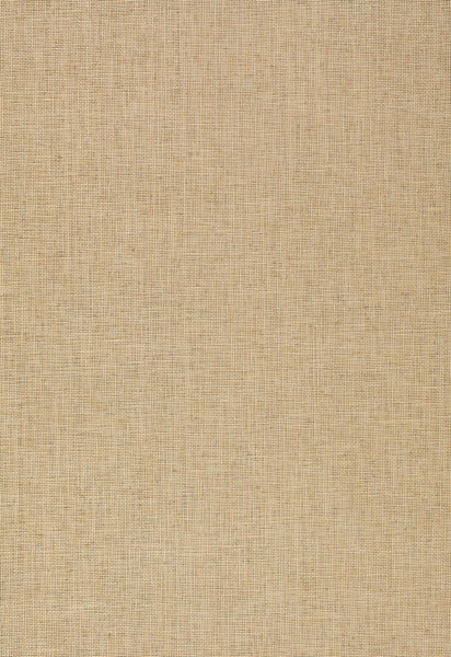 FSchumacher Wallpaper 5003140 Netsu Open Weave Ash