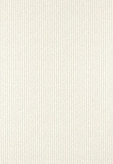FSchumacher Wallpaper 5003263 Twig Stripe Cirrus