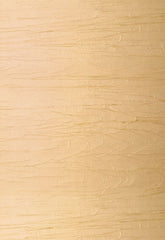 FSchumacher Wallpaper 5003401 Vela Sand