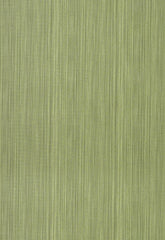 FSchumacher Wallpaper 5003452 Stratus Moss