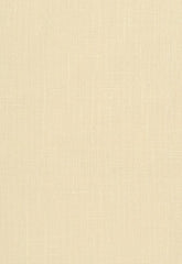 FSchumacher Wallpaper 5003580 Adhafera Ground Oatmeal