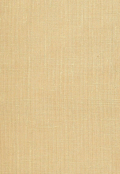 FSchumacher Wallpaper 5003581 Adhafera Ground Straw