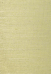 FSchumacher Wallpaper 5003591 Linyi Ground Celery