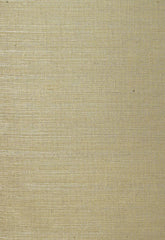 FSchumacher Wallpaper 5003592 Linyi Ground Mist