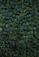 FSchumacher Wallpaper 5003800 Cascadia Peacock