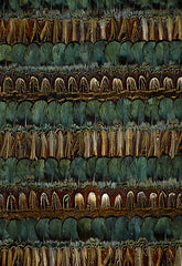FSchumacher Wallpaper 5003810 Cayuga Cyprus