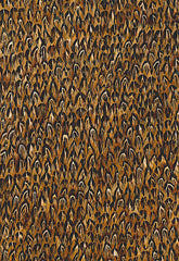 FSchumacher Wallpaper 5003820 Walden Quail