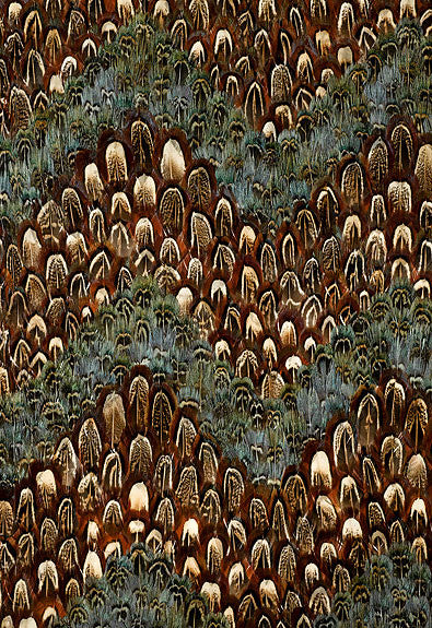 FSchumacher Wallpaper 5003840 Chesapeake Topaz