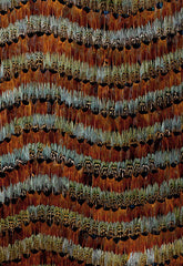 FSchumacher Wallpaper 5003860 Blackstone Mineral