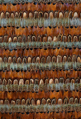 FSchumacher Wallpaper 5003870 Katmai Mineral