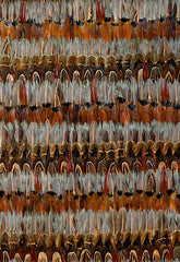 FSchumacher Wallpaper 5003900 Wildwood Jewel