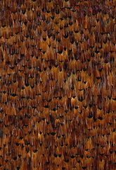 FSchumacher Wallpaper 5003910 Ashland Pheasant