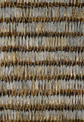 FSchumacher Wallpaper 5003930 Everglades Dove