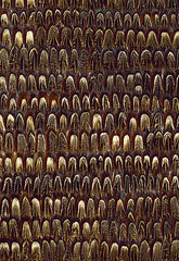 FSchumacher Wallpaper 5003970 Caumsett Sable