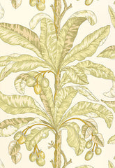 FSchumacher Wallpaper 5004062 Blair House Palm Kiwi