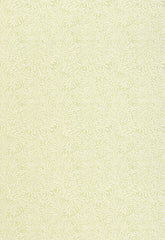 FSchumacher Wallpaper 5004133 Willow Leaf Sage