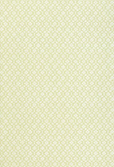 FSchumacher Wallpaper 5004143 Harbury Trellis Willow
